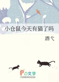 小仓鼠今天有猫了吗